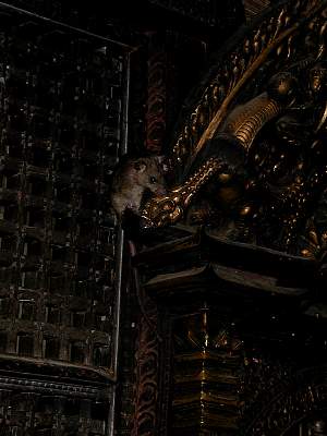 Kairen's_Tibet_37_2001-09-24 09.06.08 DSCN7141.JPG